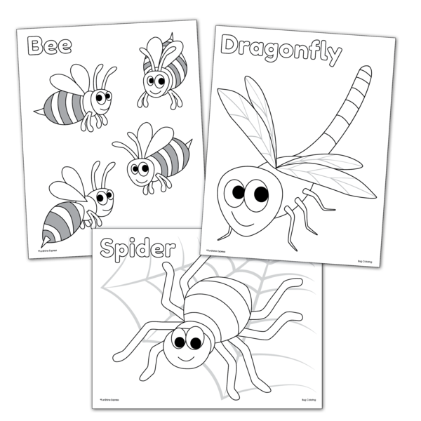 bugs coloring pages